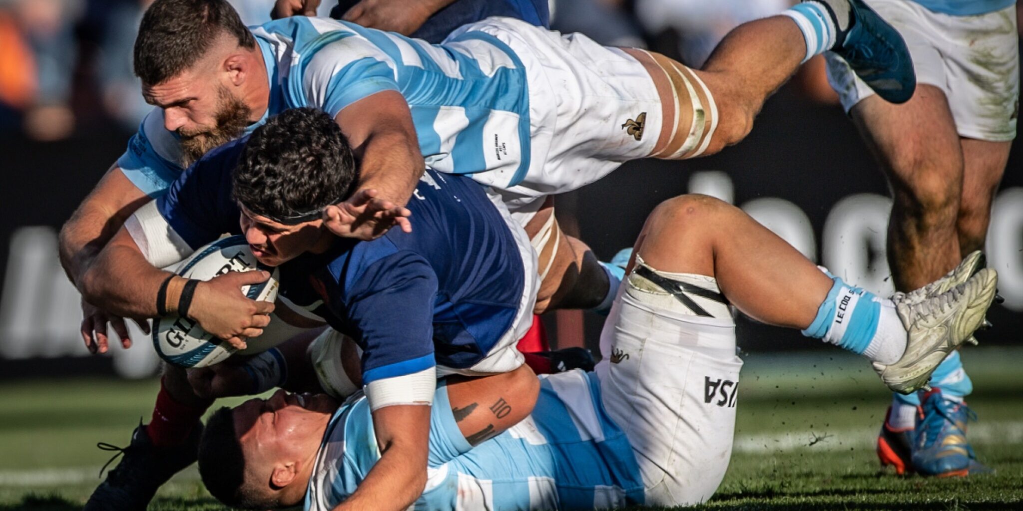 November Internationals 2024 France vs Argentina ARN Guide Americas Rugby News